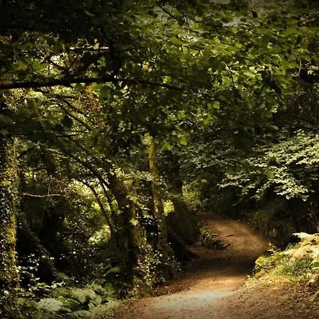 Lägenhet In Noalla - 104442 *